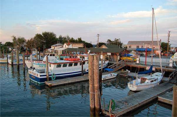 Miss Chris Marina and Kayaks | 1212 Wilson Dr, Cape May, NJ 08204, USA | Phone: (609) 884-3351