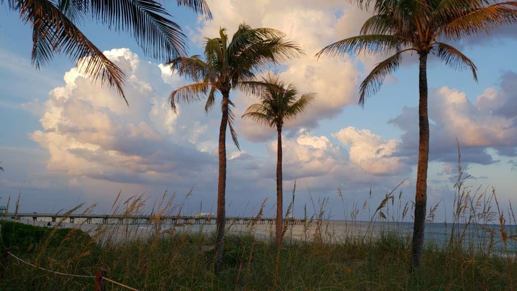 Turtle Nesting Area And Scuba Diving Zone | Lauderdale-By-The-Sea, FL 33308, USA