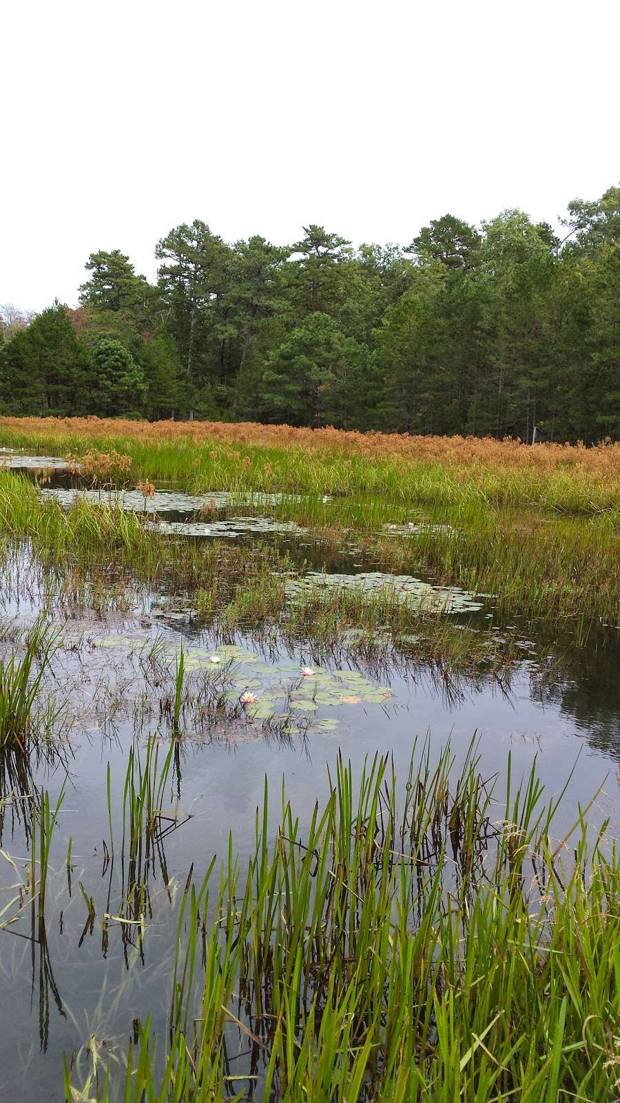 Cloverdale Farm County Park | 34 Cloverdale Rd, Barnegat, NJ 08005, USA | Phone: (609) 607-1861