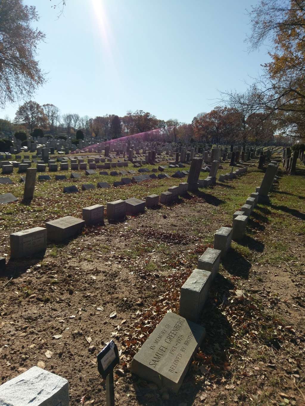 Mount Richmond Cemetery | 420 Clarke Ave, Staten Island, NY 10306, USA | Phone: (212) 239-1662