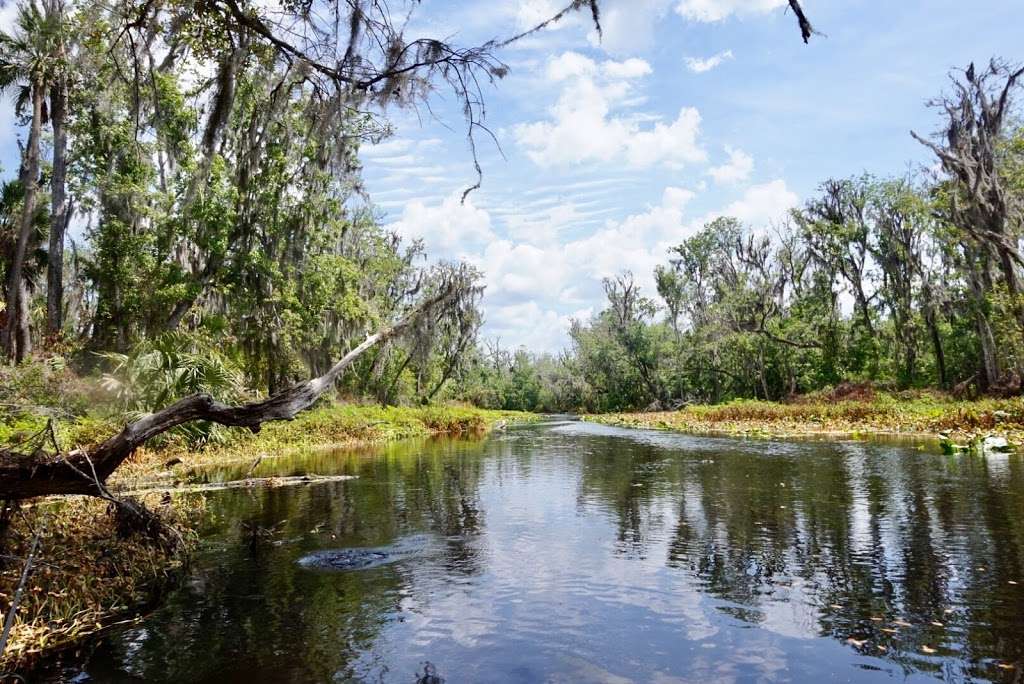 Katies Landing at Wekiva River | 262 Wekiva Park Dr, Sanford, FL 32771, USA | Phone: (407) 884-2009