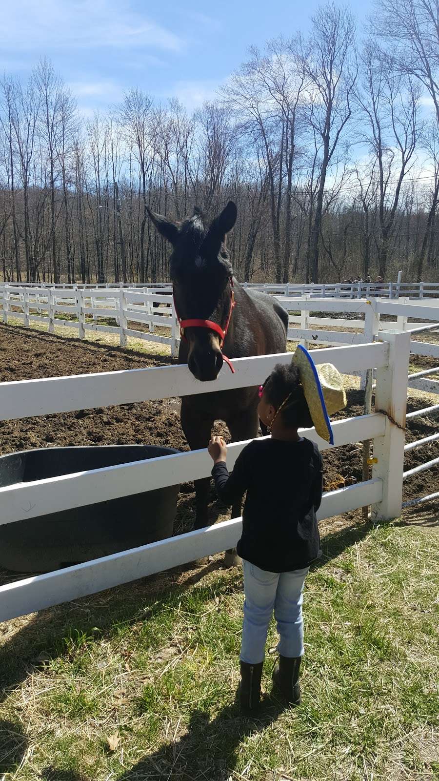 Ramapo Equestrian Center | 1152 Haverstraw Rd, Suffern, NY 10901, USA | Phone: (845) 354-7669