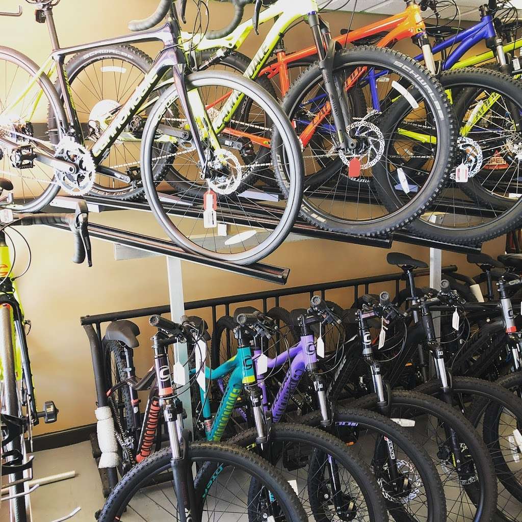 Bicycle Hub of Marlboro | 239 Hwy 79, Morganville, NJ 07751, USA | Phone: (732) 946-9080