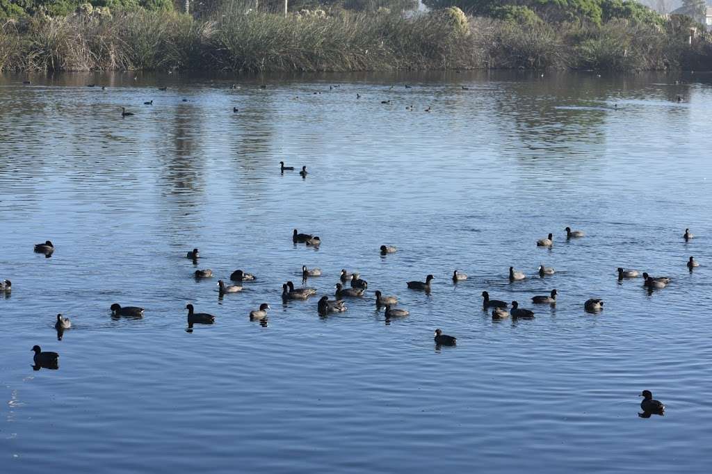 Ventura Harbor Ecological Reserve | 1400 Angler Ct, Ventura, CA 93001, USA