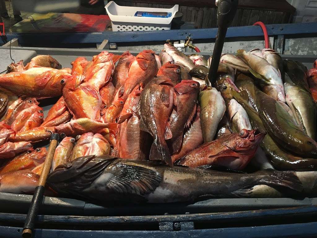 Dory Fishing Fleet and Market | 2111 W Oceanfront, Newport Beach, CA 92663, USA