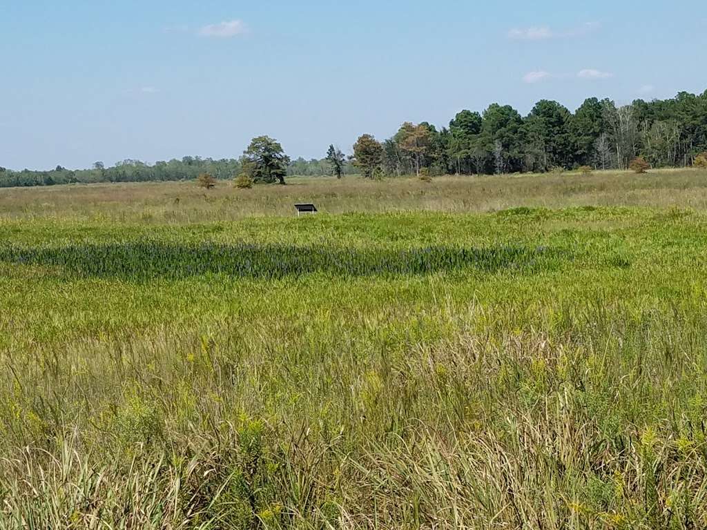 Sheldon Lake State Park and Environmental Learning Center | 14140 Garrett Rd, Houston, TX 77044, USA | Phone: (281) 456-2800