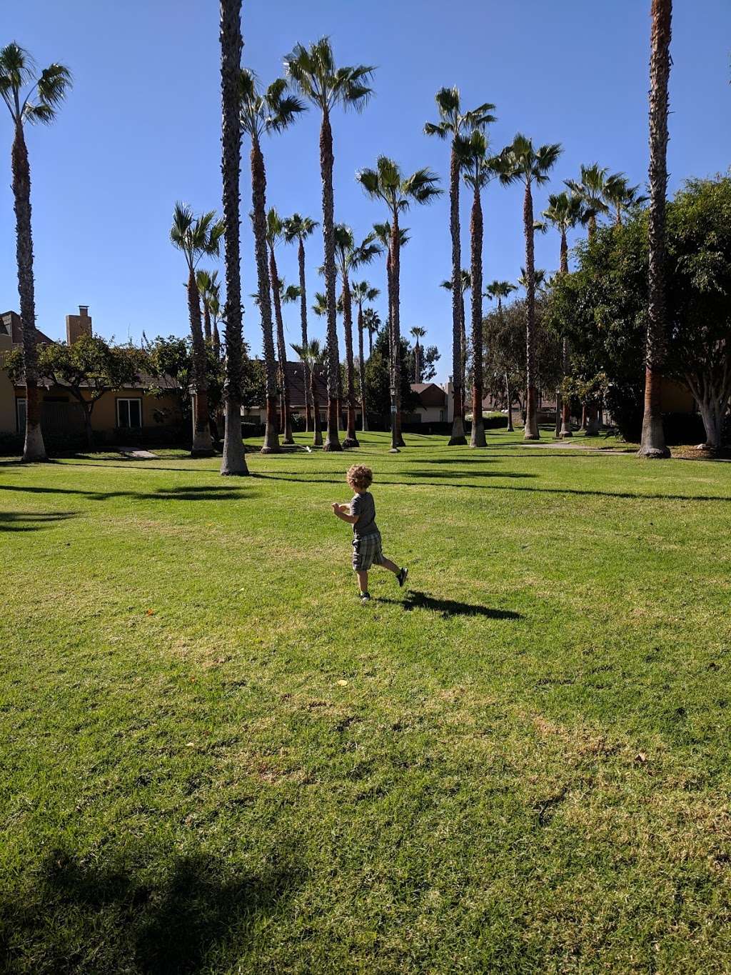 Mesa Village Park | San Diego, CA 92126