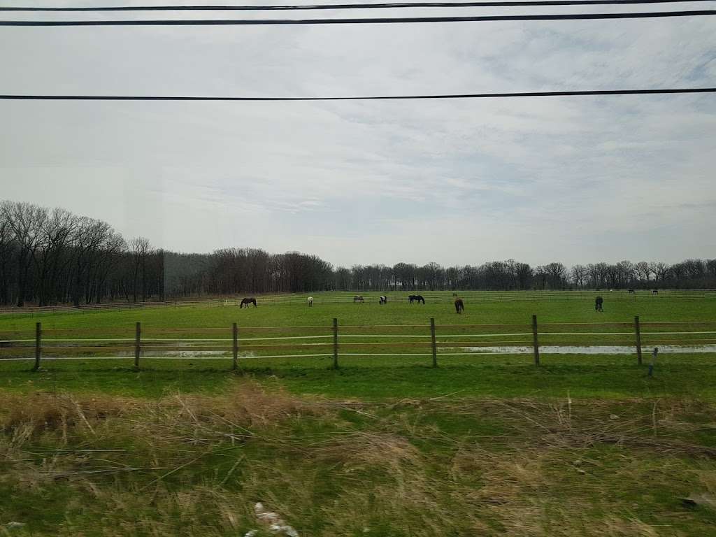 Deerpath Farm | 26339 N Farwell Rd, Mettawa, IL 60045, USA | Phone: (312) 952-9511