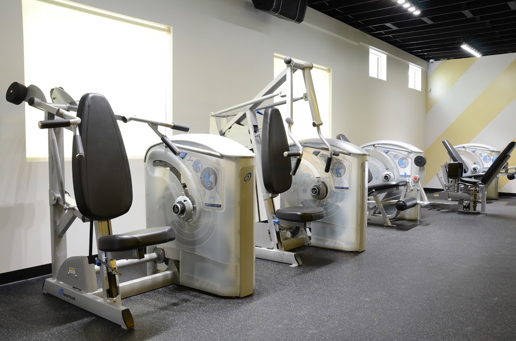 Body Lab Food Fitness | 1510 Hendricks Ave, Jacksonville, FL 32207, USA | Phone: (904) 219-7732