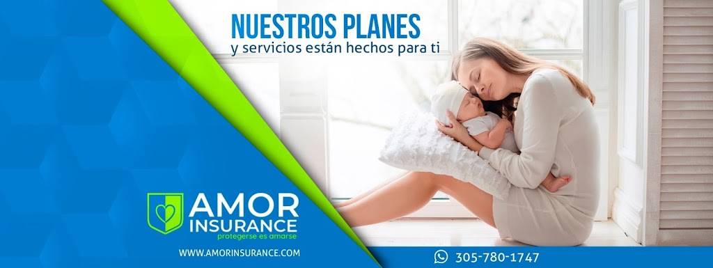 Amor Insurance | 14310 SW 8th St #0416, Miami, FL 33184, USA | Phone: (305) 780-1747