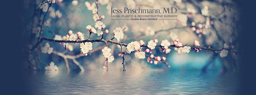 Prischmann Facial Plastic Surgery | 5201 Eden Ave #170, Edina, MN 55436, USA | Phone: (952) 567-7151