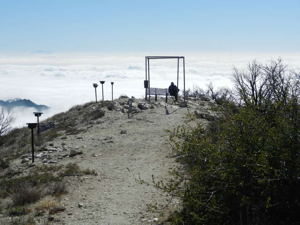 Mt Lowe Peak | Mt Lowe Summit Trail, California, USA