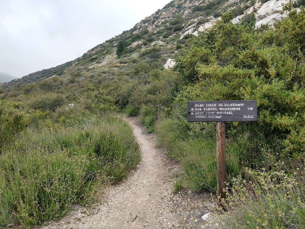 Smith Mountain Trailhead | Azusa, CA 91702, USA