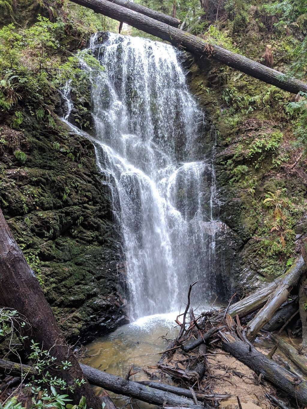 Berry Creek Falls Loop Trail | Boulder Creek, CA 95006