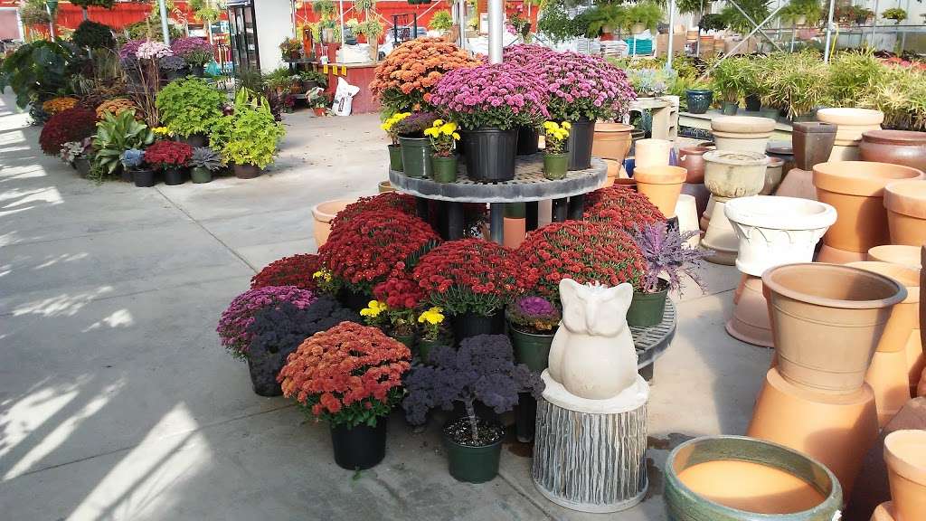 Hoffman Garden Center | 30699 US-12, Volo, IL 60073, USA | Phone: (815) 344-1990