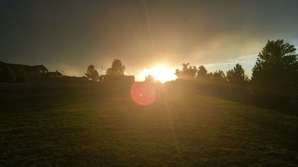 Douglas County Off-leash Area | 1100 Plum Creek Pkwy, Castle Rock, CO 80104, USA