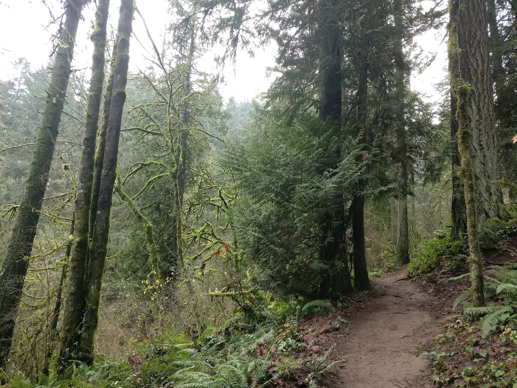 Linnton Loop Hike Trailhead | NW St Helens Rd, Portland, OR 97204, USA | Phone: (503) 223-5449