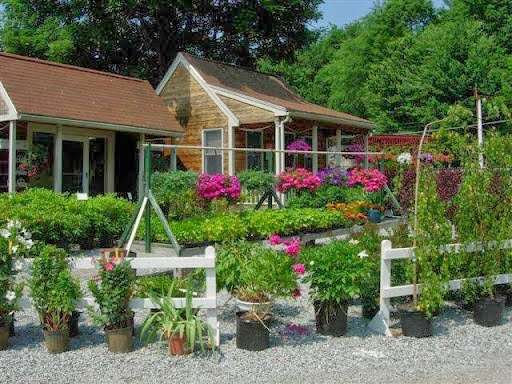 Dr. Mulch Garden Center | 52 E Prescott St, Westford, MA 01886 | Phone: (978) 692-6830