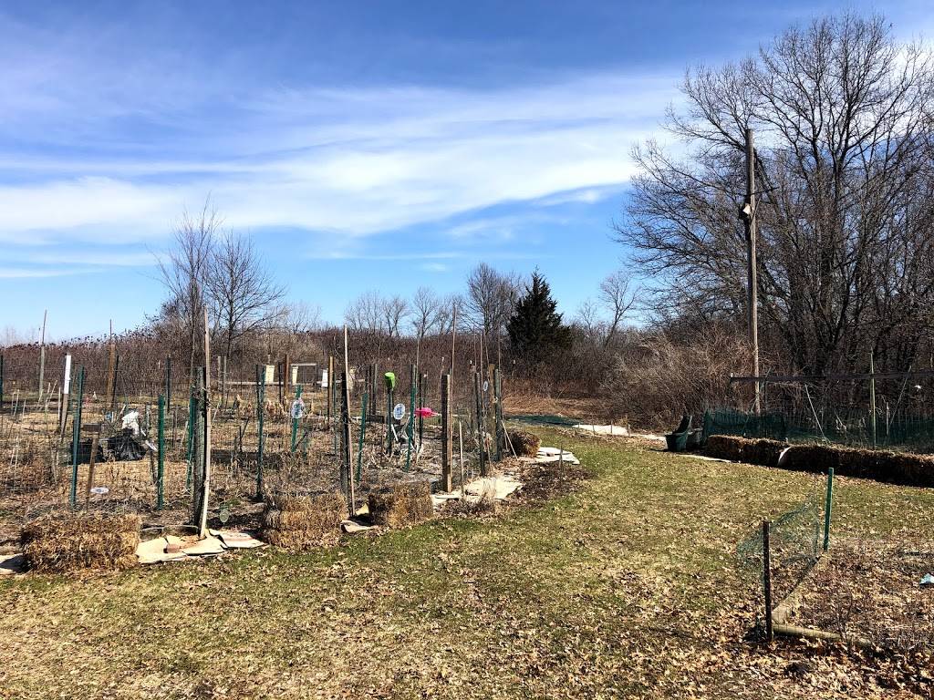 School Garden Designed by Daniel Halsey | Apple Valley, MN 55124, USA | Phone: (612) 720-5001