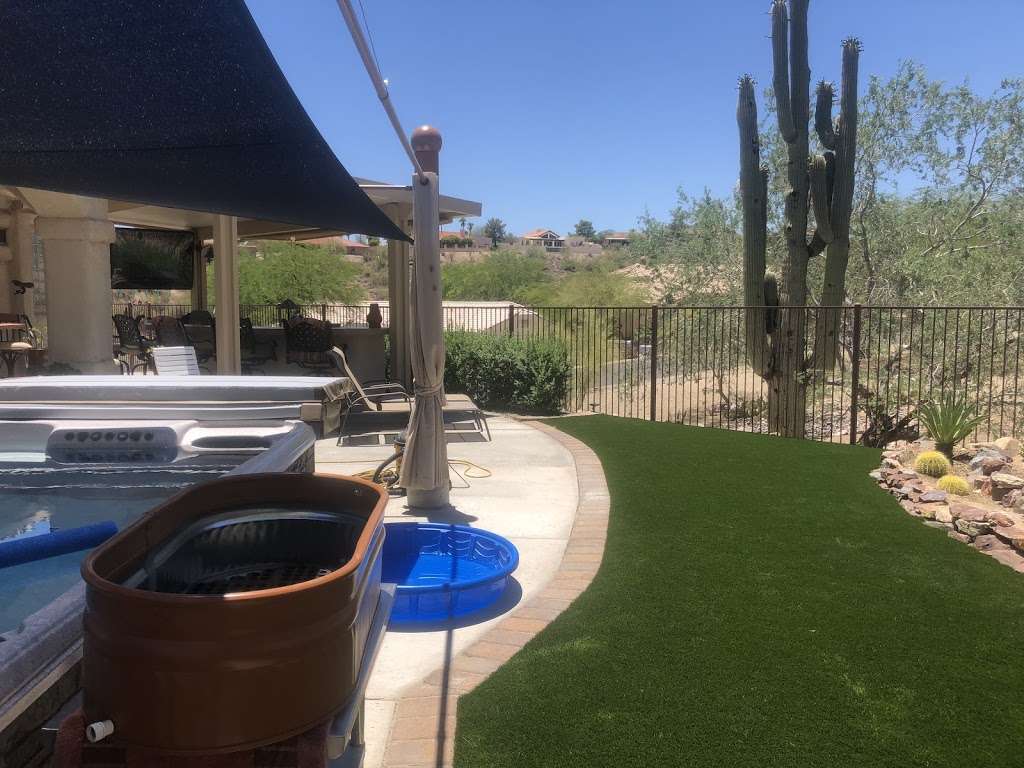 21st Century Grass | 3001 S 35th St c6, Phoenix, AZ 85034, USA | Phone: (480) 323-5033