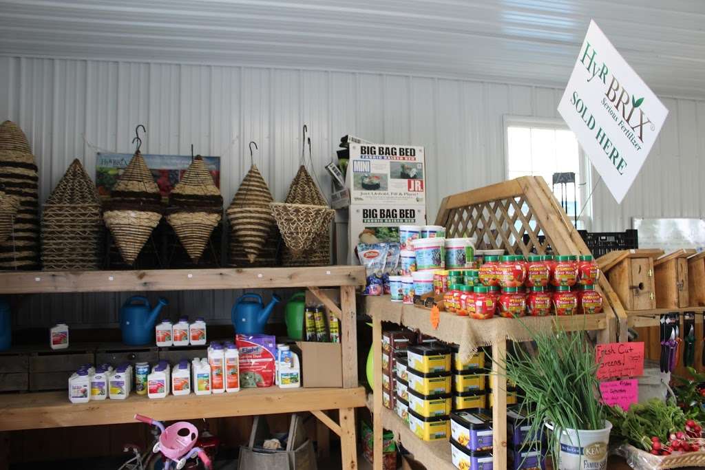 Clearview Greenhouse N Produce | 6267 Park Rd, Orrstown, PA 17244, USA | Phone: (717) 477-0516