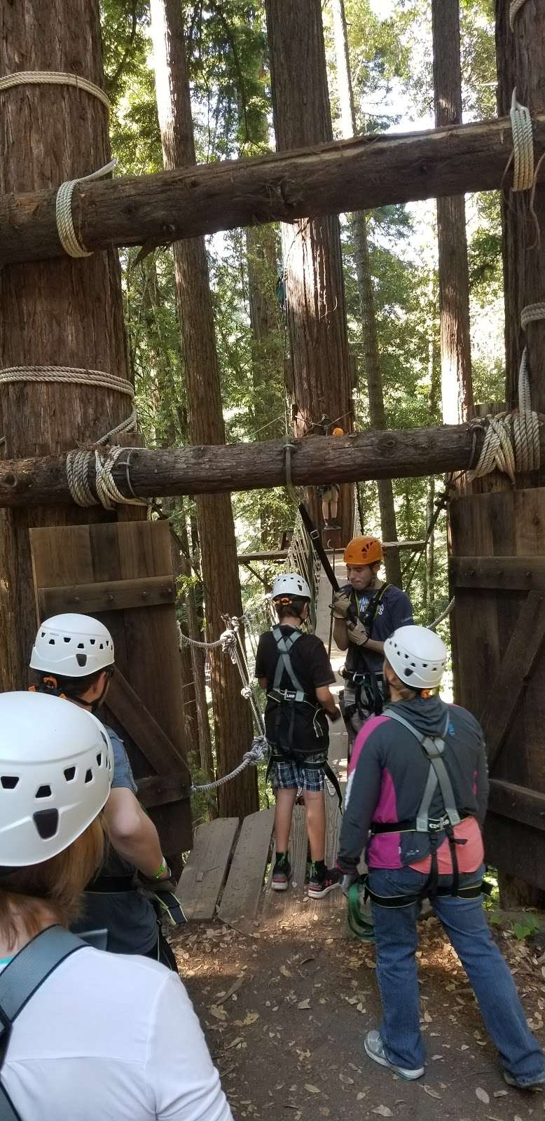 Redwood Canopy Tour | 17 Conference Dr, Felton, CA 95014, USA | Phone: (831) 430-4357