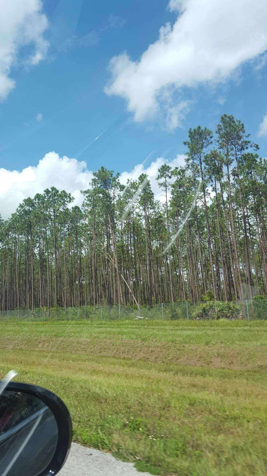 Holopaw State Forest | St Cloud, FL 34773