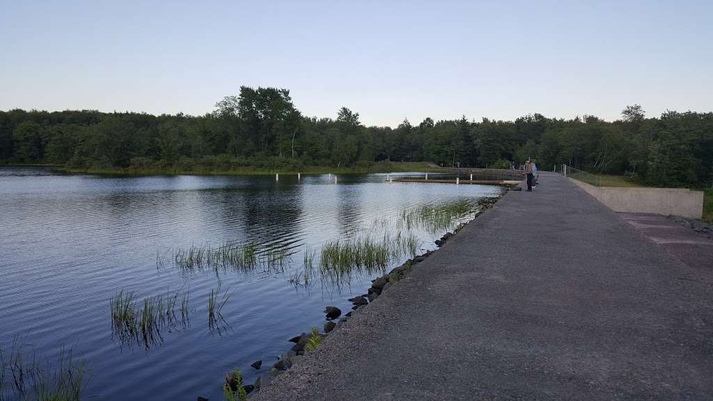 Bradys Pond Trail | Pocono Lake, PA 18347