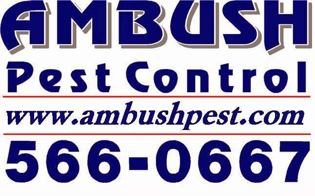 Ambush Pest Control | 2057 Pabco Rd, Henderson, NV 89011, USA | Phone: (702) 566-0667