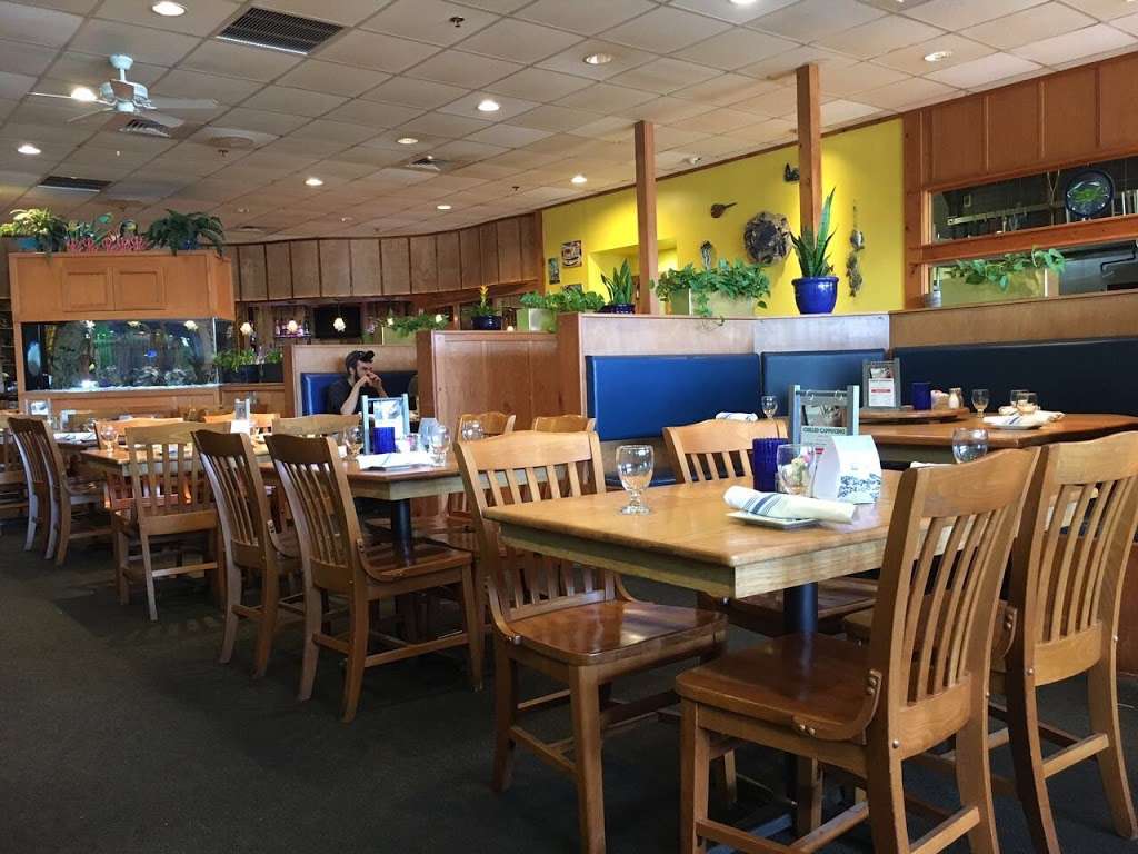 Blue Crab Grill | 322 Suburban Dr, Newark, DE 19711 | Phone: (302) 737-1100