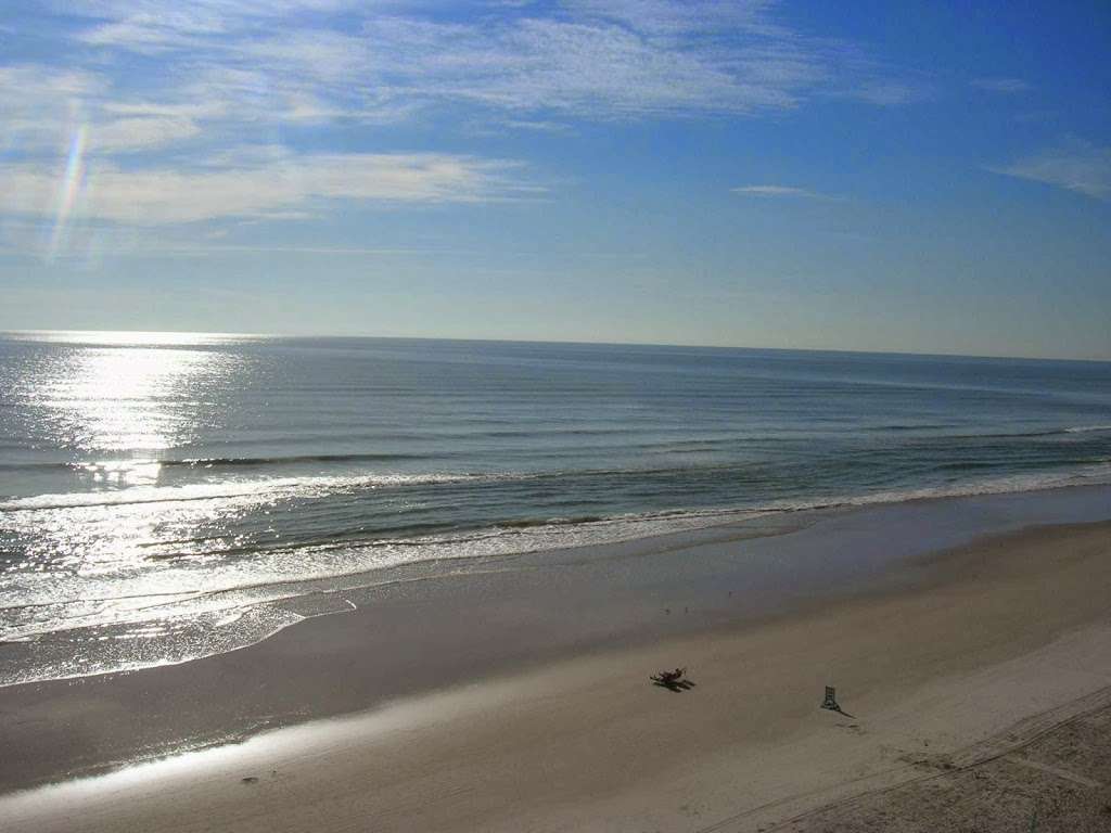 Island Properties of NSB | 4389 Saxon Dr, New Smyrna Beach, FL 32169, USA | Phone: (386) 424-1413