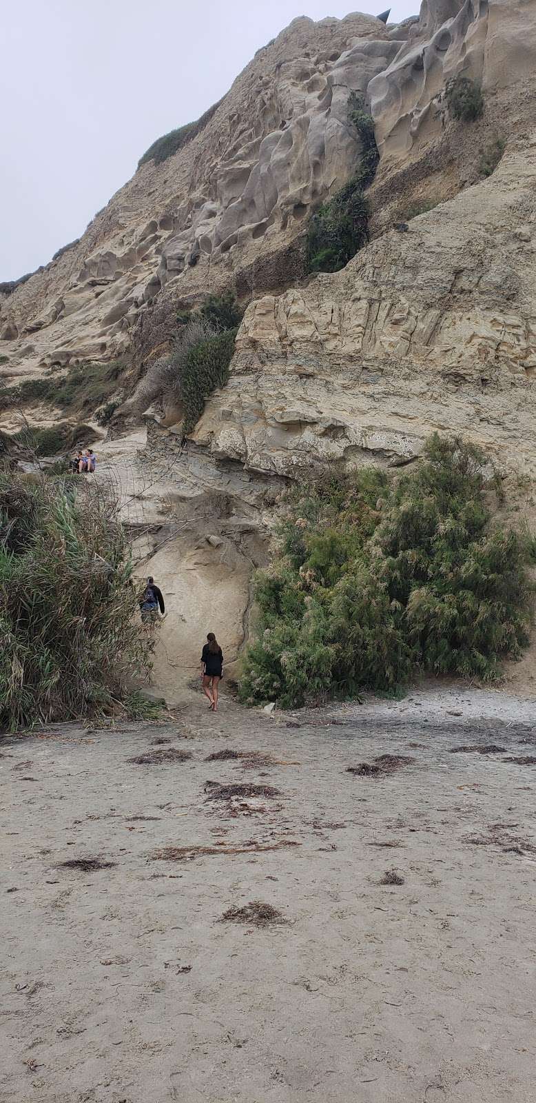 Salk Institute Beach trail | Unnamed Road, 92037, La Jolla, CA 92037, USA