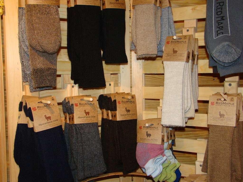 TaCaCo Alpacas | 28494 Fire Tower Rd, Laurel, DE 19956, USA | Phone: (302) 236-7950