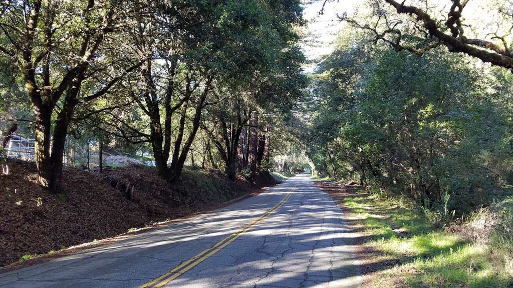 Mountain Charlie Tunnel | 3499-3401 Glenwood Dr, Scotts Valley, CA 95066, USA