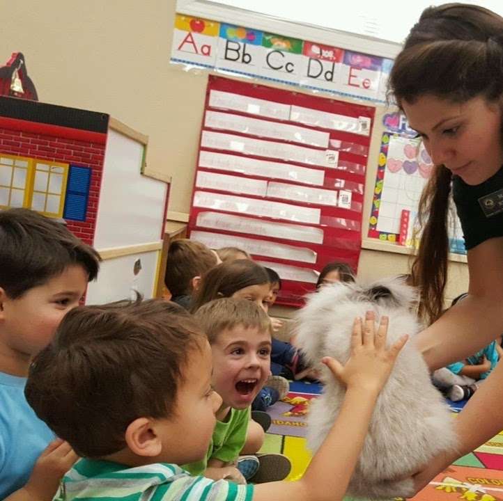 Inside the Outdoors | 8755 E Santiago Canyon Rd, Silverado, CA 92676, USA | Phone: (714) 708-3885