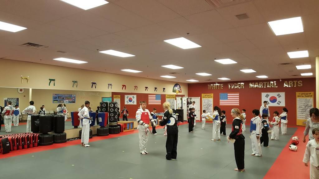 White Tiger Taekwondo | 102 N Greenville Ave #102b, Allen, TX 75002, USA | Phone: (214) 383-7679