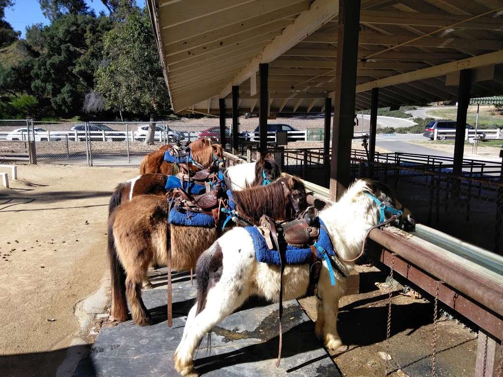 Griffith Park Pony Ride | 4400 Crystal Springs Dr, Los Angeles, CA 90027, USA | Phone: (323) 664-3266