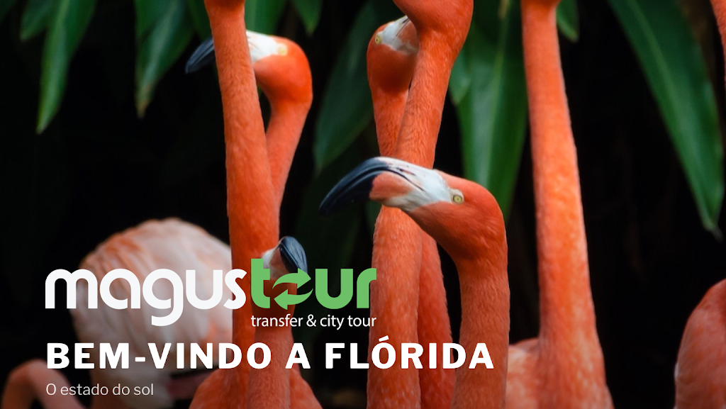 Magus Tour | Miami Beach, FL 33139, USA | Phone: (786) 442-8200
