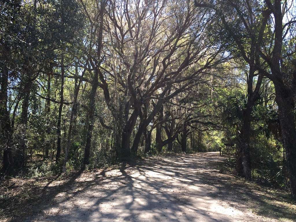 Carney Island Recreation & Conservation Area | 13275 SE 115th Ave, Ocklawaha, FL 32179, USA | Phone: (352) 671-8560