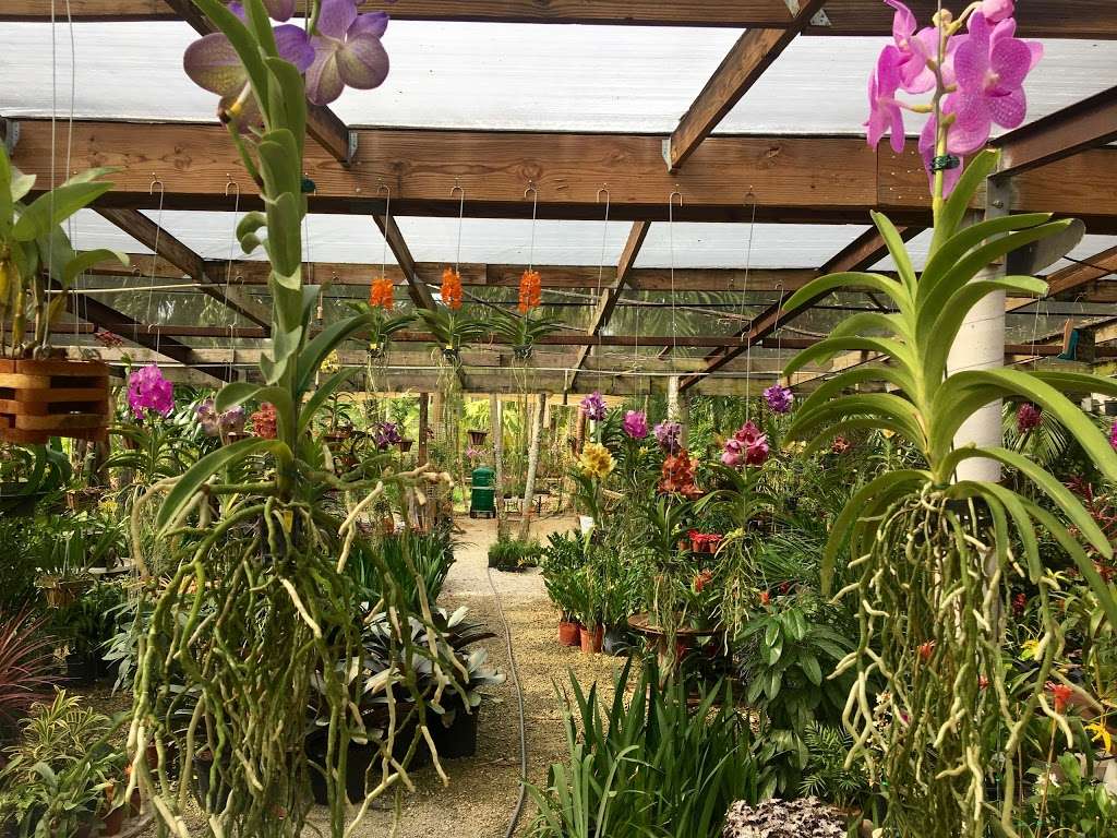 Bamboo And Orchid Gardens | 2325 S Flamingo Rd, Davie, FL 33325, USA | Phone: (954) 931-7733 Bamboo And Orchid Gardens | 2325 S Flamingo Rd, Davie, FL 33325, USA | Phone: (954) 931-7733