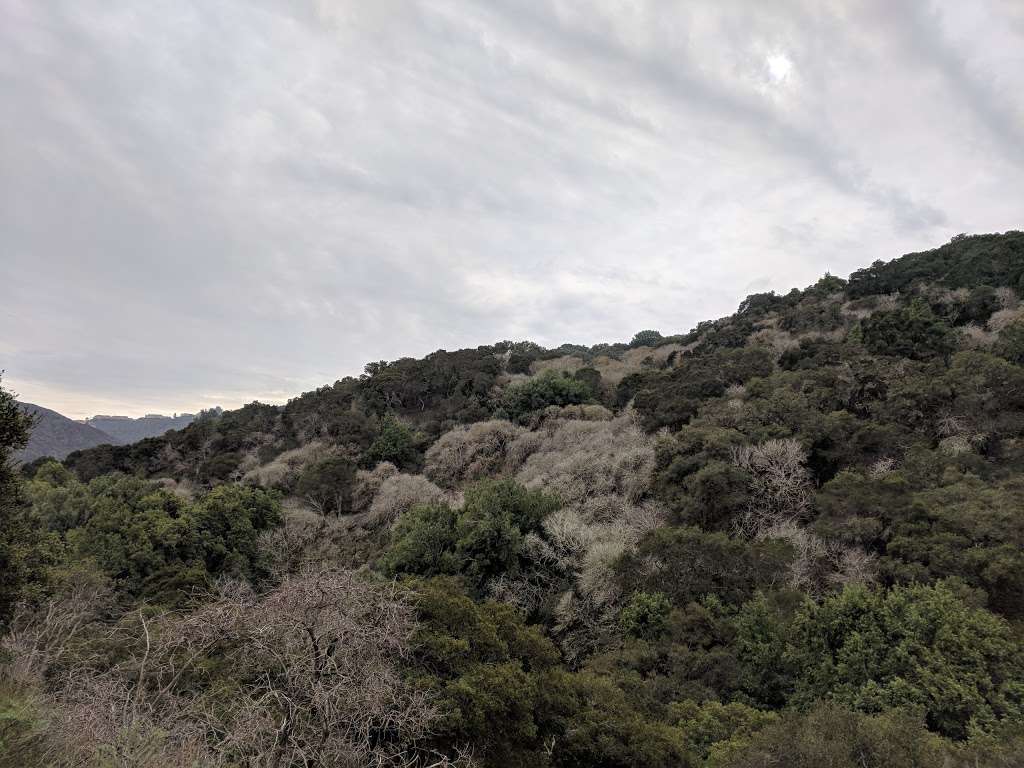 Water Dog Lake trail entrance | Lake Road Trail, Belmont, CA 94002