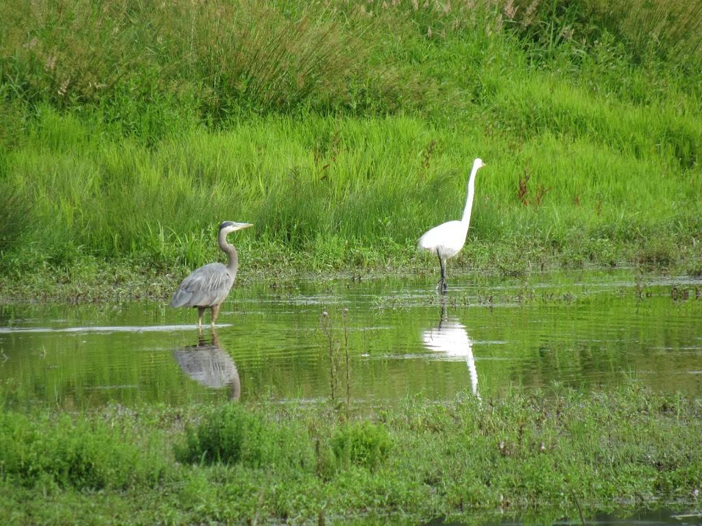 Tualatin River National Wildlife Refuge Visitor Center | 19255 SW Pacific Hwy, Sherwood, OR 97140, USA | Phone: (503) 625-5944