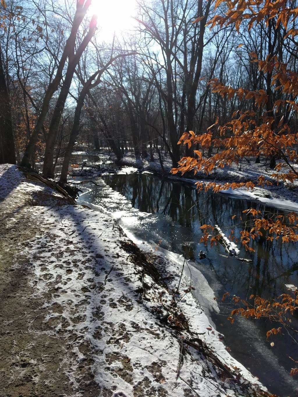 Bonnabel Nature Park | Old Tappan, NJ 07675, USA