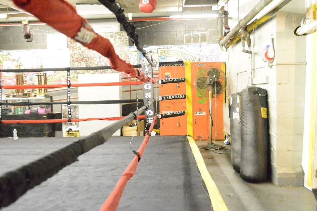 Starrett City Boxing Club | 1540 Van Siclen Ave, Brooklyn, NY 11239 | Phone: (347) 722-1356