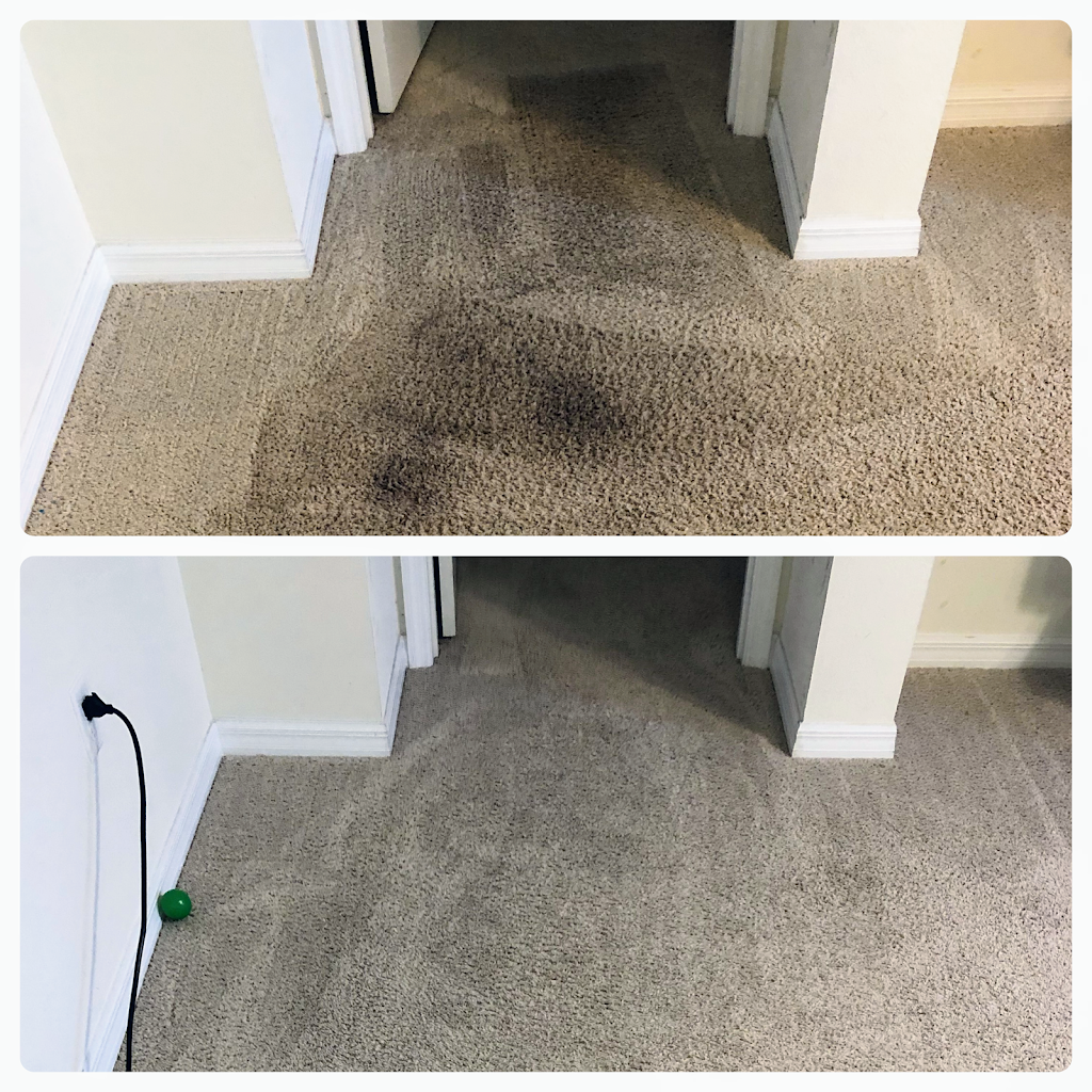 Stapleton Steemers Carpet Cleaning Riverview | 12522 Evington Point Dr, Riverview, FL 33579, USA | Phone: (727) 631-5011