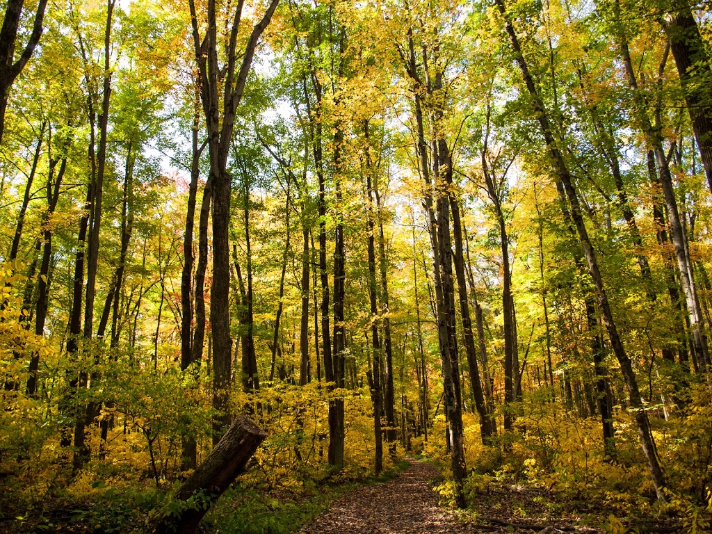 Oak Openings Preserve Metropark | 4139 Girdham Rd, Swanton, OH 43558, USA | Phone: (419) 360-9179