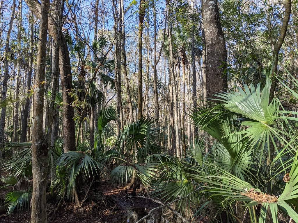 Cypress Creek Nature Preserve (Tampa) | 18000 Lizards Tail Rd, Tampa, FL 33647, USA | Phone: (800) 423-1476