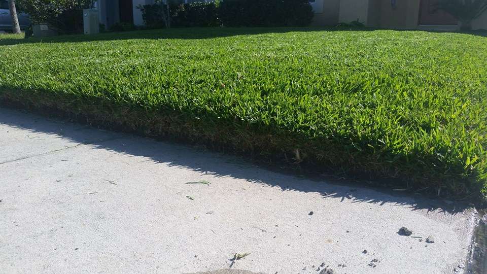 Miller Lawn & Pest Control | 1231 Seminola Blvd, Casselberry, FL 32707 | Phone: (407) 359-8888
