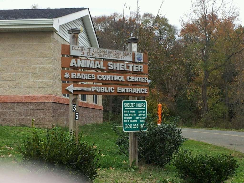 Burlington County Animal Shelter | 35 Academy Dr, Westampton, NJ 08060, USA | Phone: (609) 265-5073