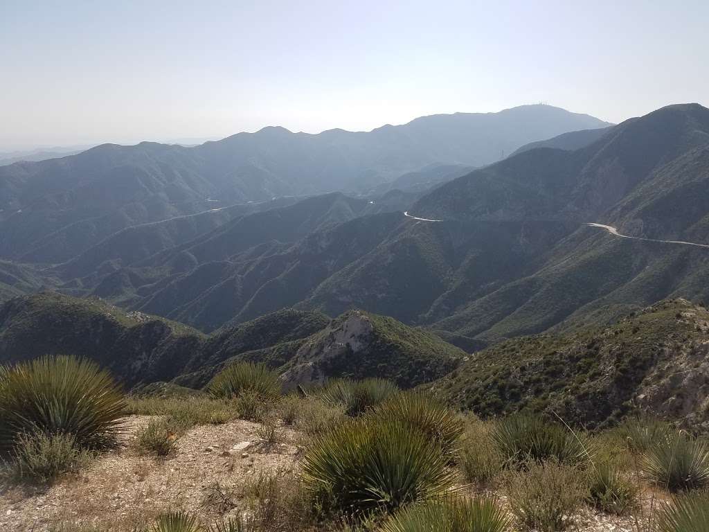 Cedar Overlook | Tujunga, CA 91042, USA